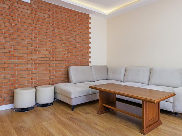 One bedroom apartment, Polna 56B/9