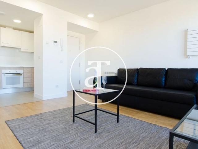 One bedroom penthouse for temporary rent with a terrace near Puerta de Atocha Station