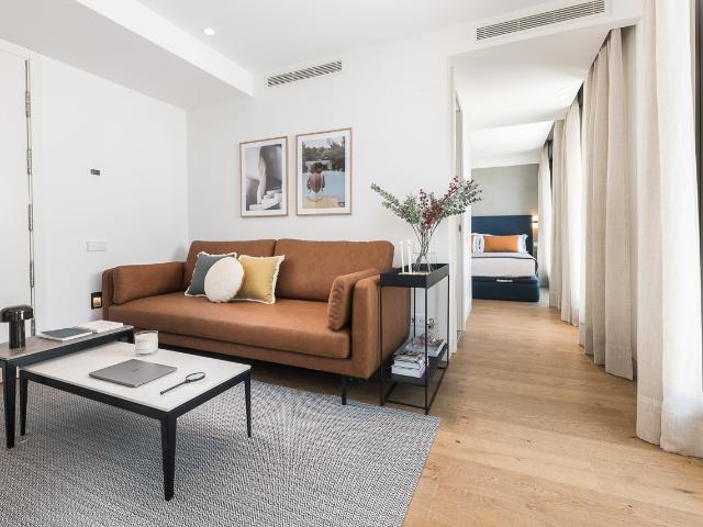 One bedroom penthouse with terrace