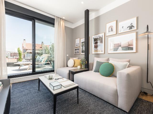 One bedroom penthouse with terrace