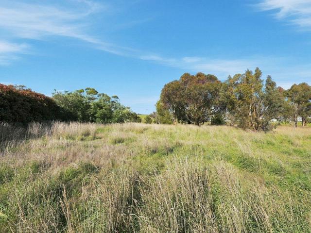 One Hectare of Beautiful Country Living