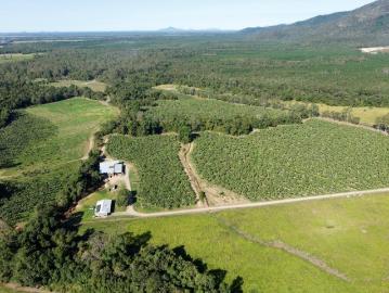 Murray Upper, Cassowary Coast Regional, Low Island, Queensland, Queensland