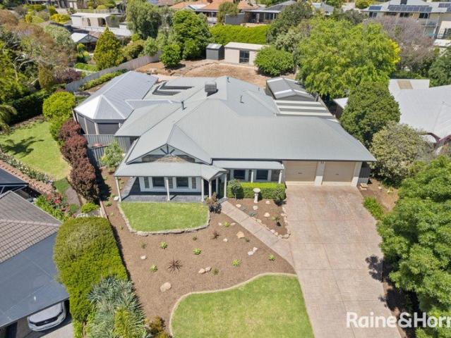 One of Woodcroft Farm's Biggest & Best!