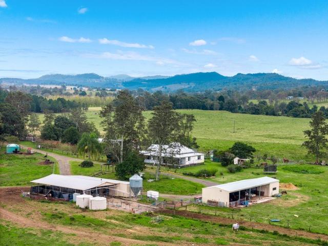 One of the Northern Rivers' Finest Cattle Enterprises