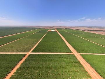 Lyrup, Berri Barmera, South Australia