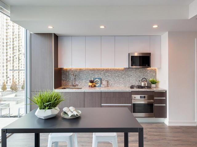ONE Old Town Park 2 Bedroom Apartment for Rent at 1140 N Wells St, Chicago, IL 60610 Near North Side