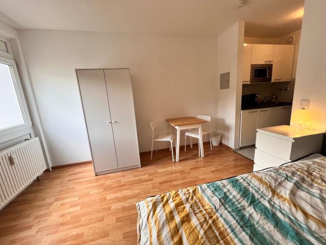 One Room Apartment, Mainz Amsterdam Apartments for Rent