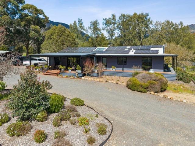 One with the Lot! An Ideal Country Lifestyle Awaits Exceptional, Renovated Home on 1.5* Hectares