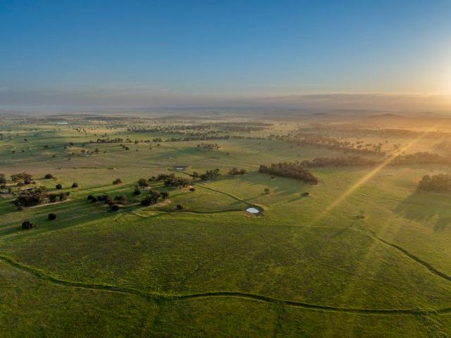 'One Tree Hill' Prime agricultural holding in Maryvale District
