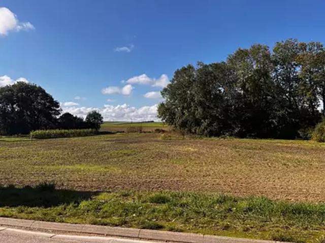 Onjon 10220 Programme neuf maison neuf à vendre 7 pièces