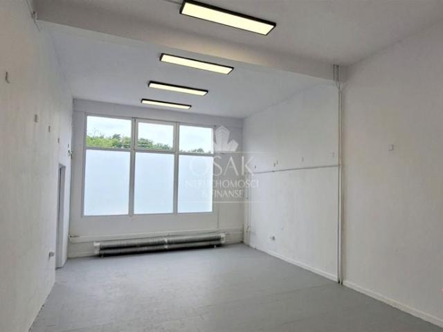 Os. Kasztanowe 116,99 m², Szczecin