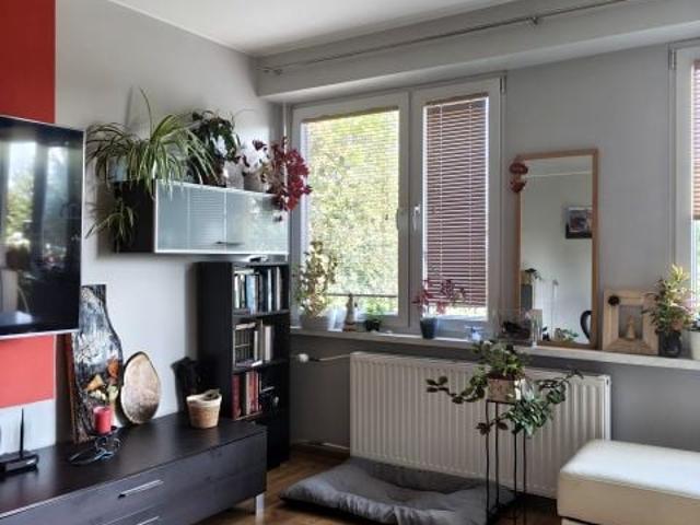 Osiedle Romualda Traugutta 58 m², Żychlin