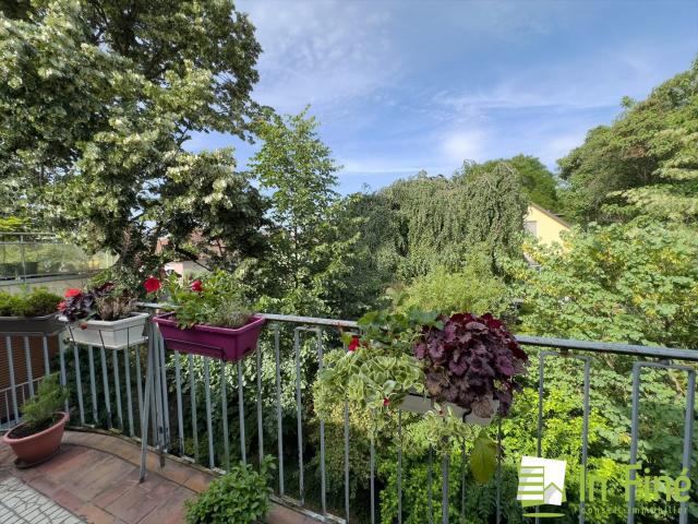 Ostwald Appt 136/183m2 avec terrasse dans petite copropriété 136m² Ostwald