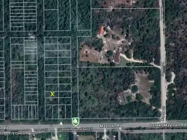 Osteen Maytown Rd, Osteen, FL 32764 MLS O6309309
