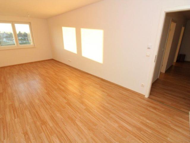 Charmante Terrassenwohnung mit effizientem Grundriss|Stellplatz|Bad mit Dusche|Rollladen