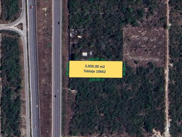 ¡Oportunidad! Terreno de 3,000 m2 sobre la Carretera Mérida Progreso