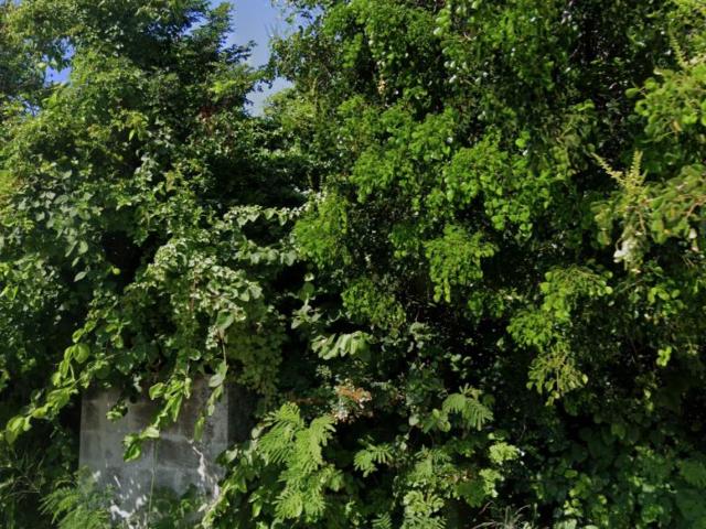 Oportunidad Terreno en Isla Mujeres