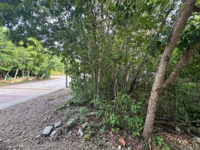 OPORTUNIDAD Terreno en Senderos de Mayakoba