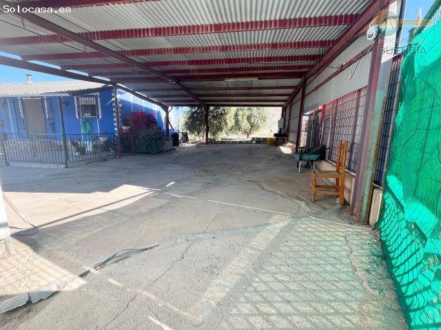 OPORTUNIDAD UNICA, TRES VIVIENDAS EN UN AMPLIO TERRENO EN LA PACA, LORCA