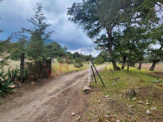 Oportunidad Única: Venta de Espectacular Terreno Agrícola de 14 Hectáreas 1/4 en Santa Isabel Tepeza