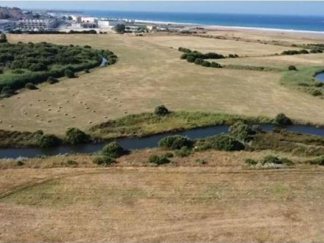 Oportunidad única: cortijo tradicional andaluz en el Parque Natural de Tarifa