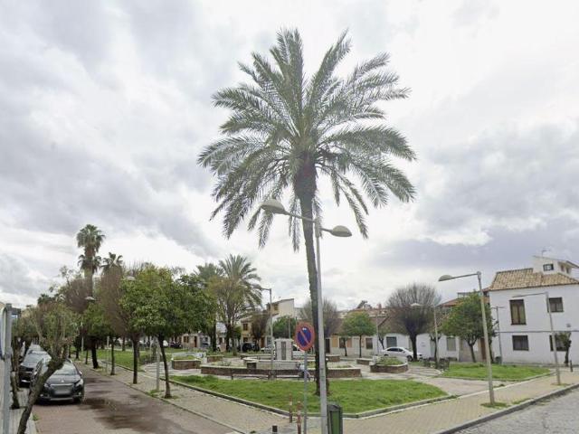 Oportunidad unica en el Campo de la Verdad Zona baja