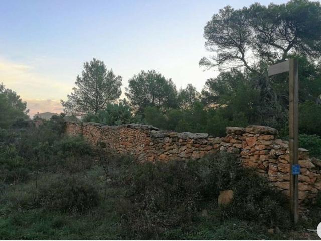 OPORTUNIDAD ÚNICA EN EL PILAR DE LA MOLA, PARCELA CON LICENCIA DE CONSTRUCCIÓN OTORGADA