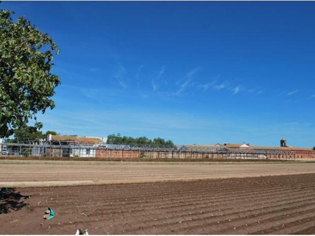 Oportunidad única en la huerta de Meliana: vivienda en parcela urbana de 344m2 y terreno rústico ane
