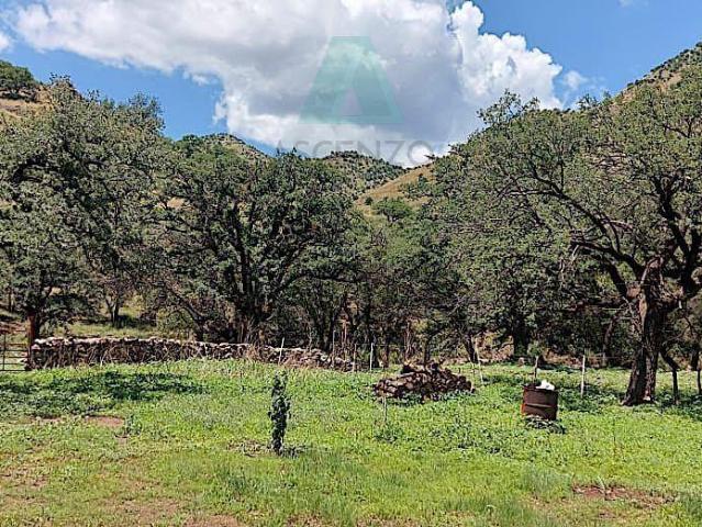 Oportunidad Venta de Rancho Ganadero por Carr. Cd Juarez, Fer