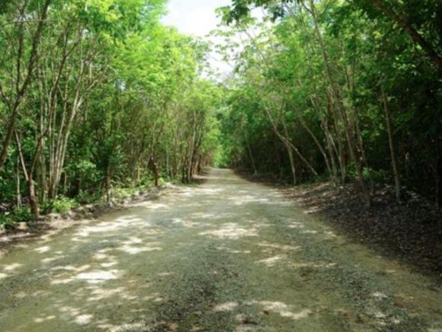 Lote en VENTA en San Antonio, Cancún