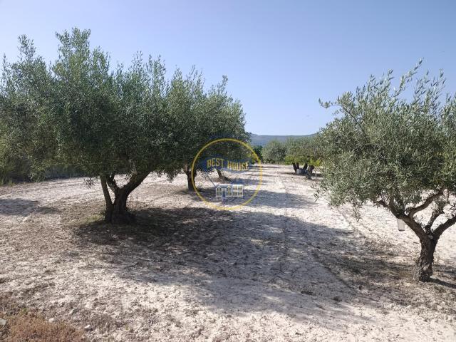 OPORTUNIDAD AMPLIA PARCELA CON ARBOLES FRUTALES Y MUY BUENAS VISTAS EN ONTINYENT