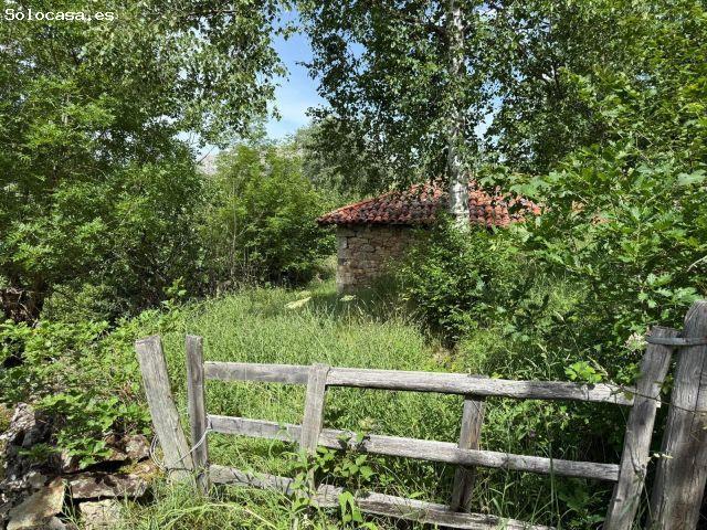 OPORTUNIDAD, CABAÑA A REFORMAR EN SALCEDO DE QUIRÓS