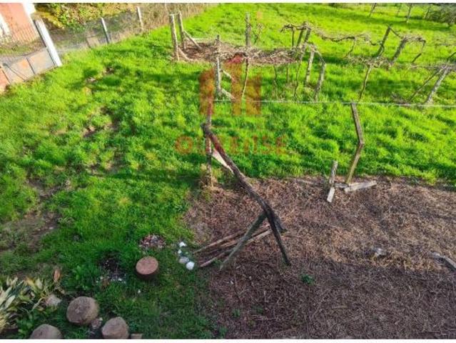 OPORTUNIDAD!: CHALET CON PARCELA Y AMPLIA TERRAZA SOLEADA +CASA PLANTA BAJA+ PARCELA DE 3804 M2 C