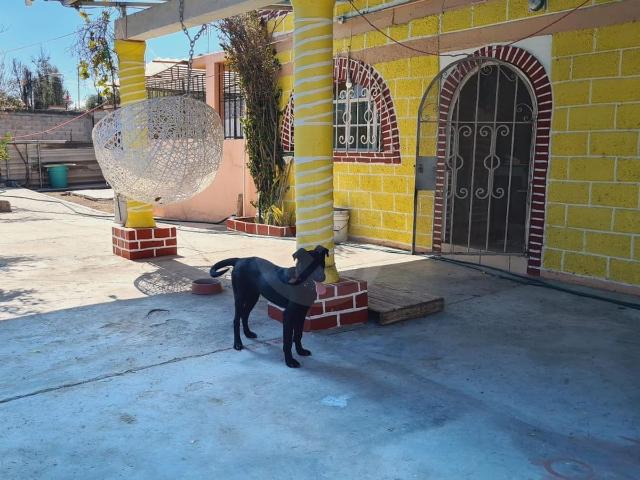 Oportunidad De Inversi?n, Casa En Venta 2694.75 M2 A 5 Min De Centro De Teotihuacan