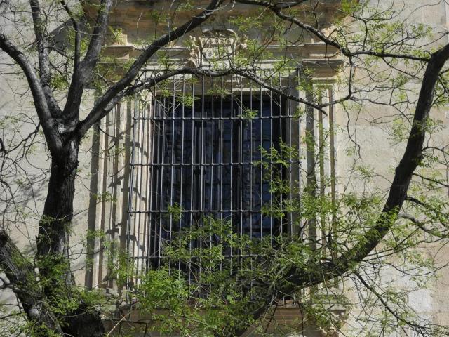 OPORTUNIDAD DE INVERSION CASA CON PROYECTO EN EL CENTRO DE JEREZ