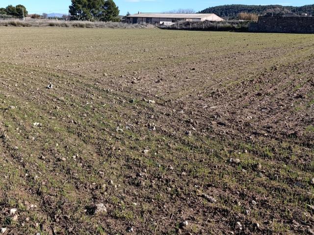 Oportunidad de Inversión en Terreno Rural en Cehegín