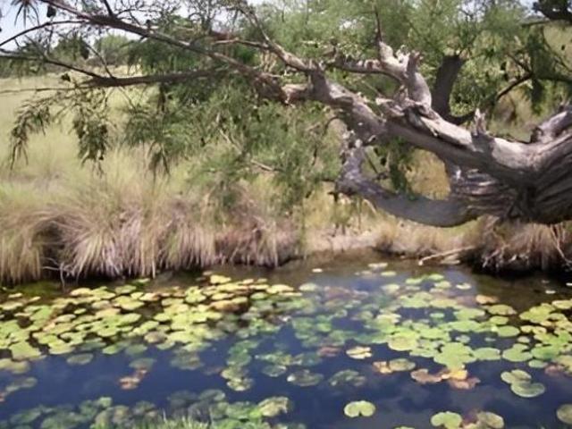 OPORTUNIDAD DE INVERSIÓN HISTÓRICA EN RÍO VERDE, SAN LUIS POTOSÍ, SUP. 9,890 HECTAREAS Escriturado