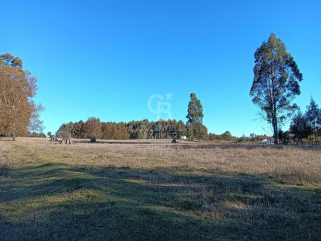 Oportunidad de inversión | tegualda | 0 dormitorios por 26000. 00 en Fresia