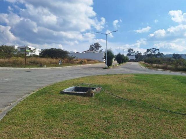 “Oportunidad de Inversión: Terreno Residencial en Bosques de la Presa”