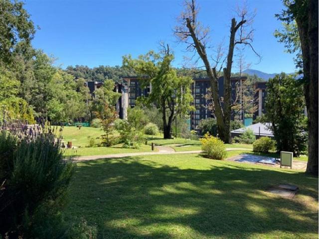 Oportunidad departamento con salida a lago. pucón