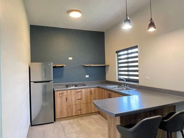 OPORTUNIDAD! DEPARTAMENTO EN RENTA ZONA DORADA