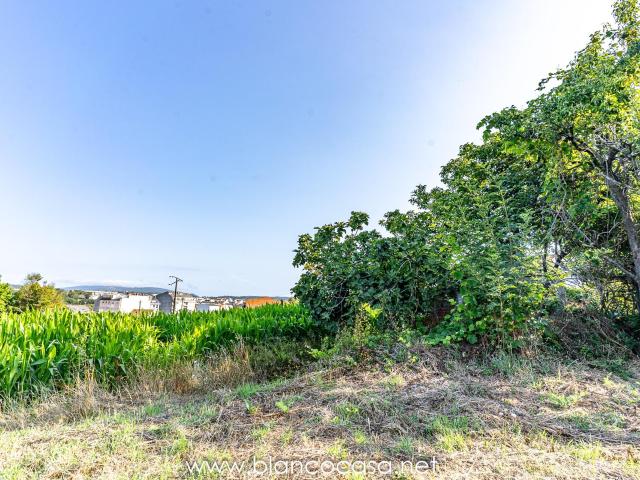 ¡Oportunidad en Carballo! Dos casas con finca para REFORMA a solo 1 km del centro por 64.900 €