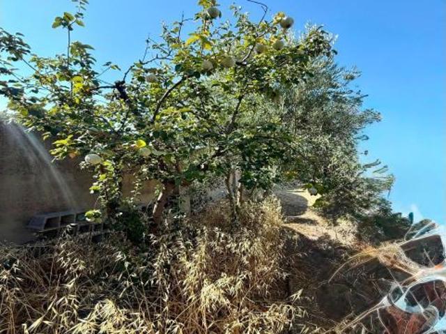 Oportunidad en El Higuerón: Casa de Campo para Reformar NO HIPOTECABLE