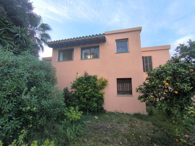 Oportunidad Exclusiva: Finca Rústica en el corazón de Mallorca con piscina, pozo y luz de gesa