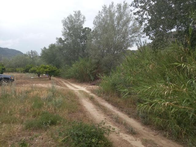 OPORTUNIDAD FINCA DE REGADIO EN MIRAVET CON ACCESO DIRECTO AL RIO EBRO