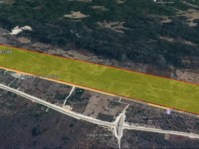¡Oportunidad Inversionistas! 144 Hectáreas con Alta Tensión para Parque Solar en Hecelchakán