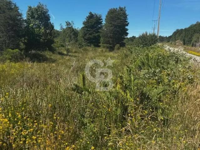 Oportunidad! Parcela con agua, luz y quincho/Pto. Montt. 0 dormitorios por 33000. 00 en Puerto Montt