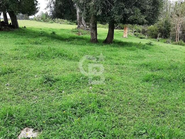 ¡Oportunidad! Predio agrícola turístico/Puyehue. CBG | 0 Dormitorios por 17750.00 en Río Bueno