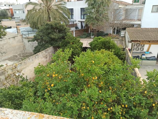 Planta baja típica mallorquina en L'Olivera