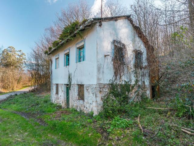Oportunidad real: casa con parcela para rehabilitar en Tineo
